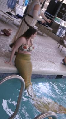 IMG 1953
